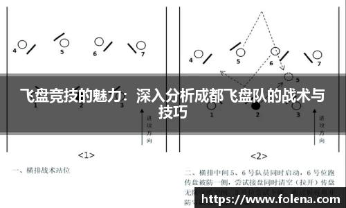 飞盘竞技的魅力：深入分析成都飞盘队的战术与技巧