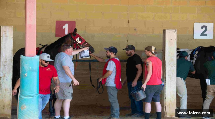 风雨同舟，共创辉煌！